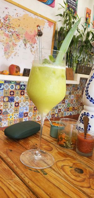 Kombucha at Selva Taqueria Plantbased in Cabo San Lucas