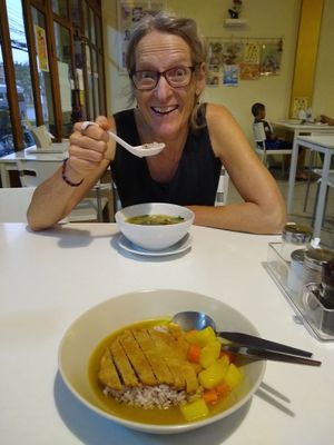 Guru's curry with fried crispy pork at Loving Hut - Saraburi in Sara Buri