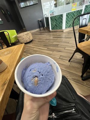 Blue vanilla plant based ice cream   at Nekter Juice Bar in Jacksonville Beach