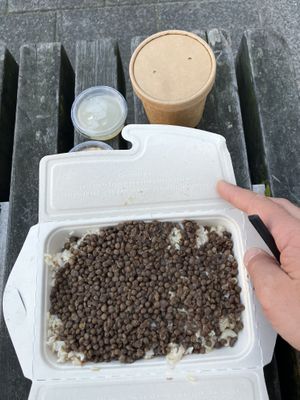 main dish   at Abu Amr Koshari  in Amsterdam