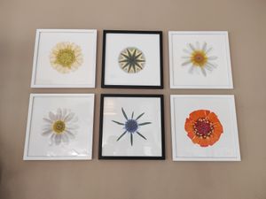 Detail at Iyer's in Cork