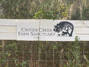  at House of Mofos in Orlando