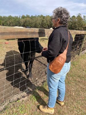  at House of Mofos in Orlando