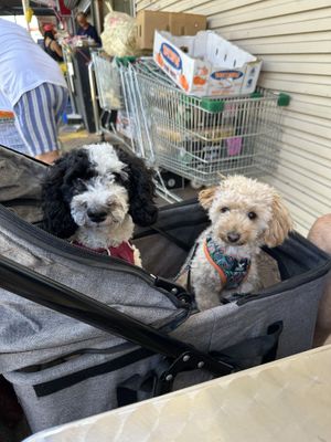   at Tinh Lac Quan in Inala