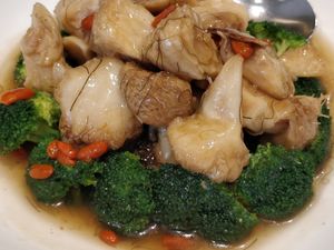 ENCHANTED FOREST

招牌烟汁兰花猴头菇

Succulent monkeyhead mushroom and fresh broccoli in perfect harmony with a specially blended sauce of angelica root "dang gui" and wo at Whole Earth 环界蔬食 in Central Singapore