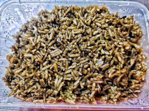 Olive fried rice tastes normal, ok at Whole Earth 环界蔬食 in Central Singapore