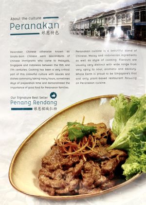 Penang Rendang  at Whole Earth 环界蔬食 in Central Singapore