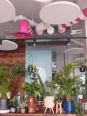 Leafy 🪴 at Mood Cafe in London