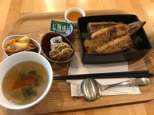 The whole set (vegan unagi/eel) at Shojin Cafe Foi - Wakayama Station in Wakayama