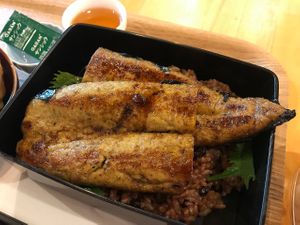 Close-up on the tofu eel at Shojin Cafe Foi - Wakayama Station in Wakayama