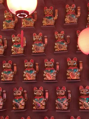 Happy happy at Kampong Express in Rotterdam