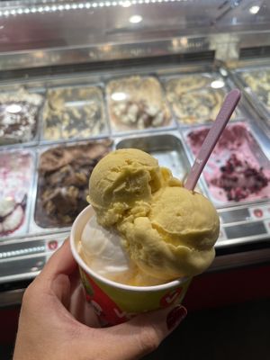 Mango sorbet.   at Valenciano in Nerja