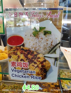 Today's Special - Chicken Rice at Evergreen Vegetarian Cuisine - 長生素  in Central Singapore