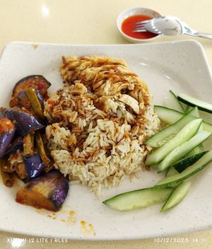 Chicken Rice special with added brinjal at Evergreen Vegetarian Cuisine - 長生素  in Central Singapore