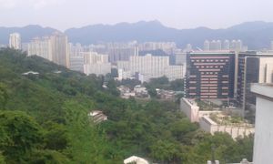 11 at Ten Thousand Buddhas Monastery Vegetarian Canteen in New Territories