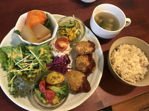 Higawari set meal- very delicious  at Gopinatha in Tokyo