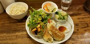vegan special of the day  at Gopinatha in Tokyo