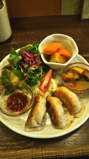 Tofu gyoza and side dishes at Gopinatha in Tokyo