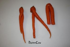 Carrot Pants! at Farmacy Fountain in Van Alstyne