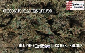 Kale Yes! at Farmacy Fountain in Van Alstyne