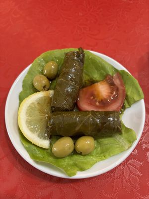 Yalangi  at Zeit W Zaatar in Rome