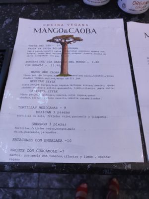  at Mango & Caoba in Barcelona