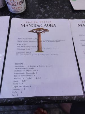  at Mango & Caoba in Barcelona