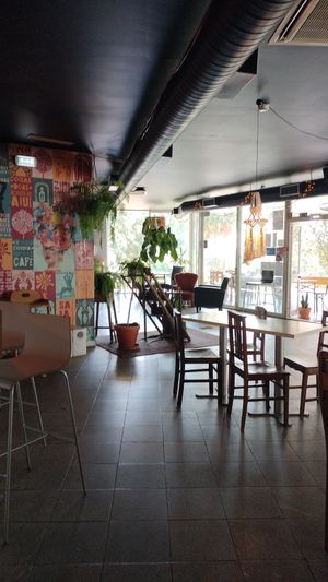  at Pachamama Tapas Bar & Cultura in Pedrogao Grande