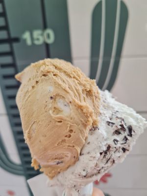 Vegan hazelnut and stracciatella at FreddoGelato in Milan