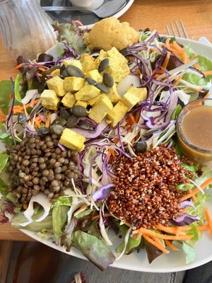 Tofu curry salad at Le Fix in Geneva