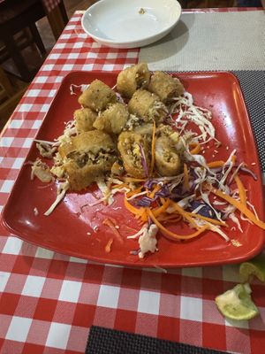 Fried Spring Rolls were lovely   at Veggie's in Vang Vieng