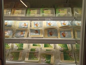 Tofu sélection at Kam Yuen Supermarket in Brussels