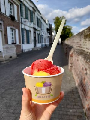 Raspberry and mango ice cream in a cup at Zonser Eis Manufaktur in Dormagen
