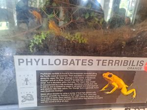  at Habana Outpost in New Orleans