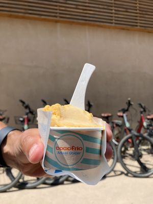 Parfum abricot romarinn  at Coco Frio in Hyeres