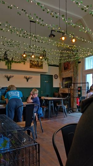  at Norse Bakehouse in Lairg