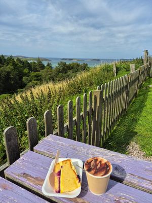 Lemon blueberry cake, oatmilk Cappuccino at Norse Bakehouse in Lairg