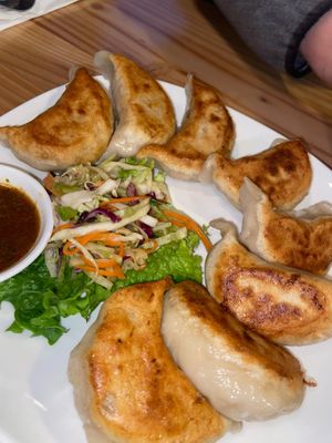 momo  at Tibetan Kitchen in New Haven