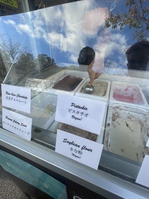 Vegan ice creamm  at Salon de Thé Mecredi in Kyoto