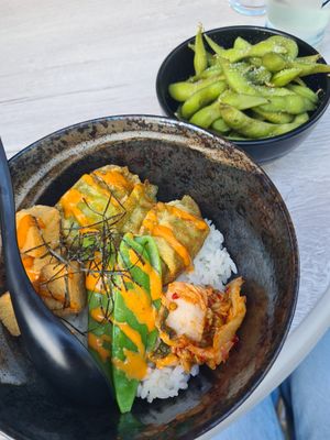 Tofu+gyozas on rice at Takumi Sapporo Ramen Kitchen in Essen