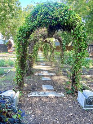 Garden   at Garden Cafe in Dallas