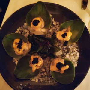 Oysters at Crossroads Kitchen in Los Angeles