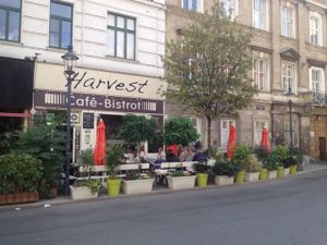 outside at Cafe Harvest in Vienna