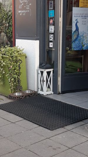 Water for dogs! at Cafe Harvest in Vienna