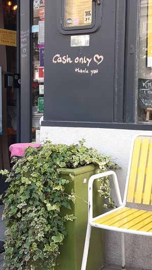 Cash only at Cafe Harvest in Vienna