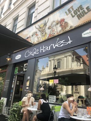 Outside   at Cafe Harvest in Vienna