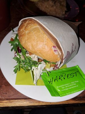 Schöner Döner at Cafe Harvest in Vienna
