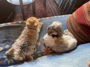   at Cafe Harvest in Vienna