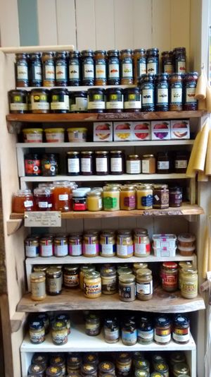 Hello! at The New Leaf Co-op in Edinburgh