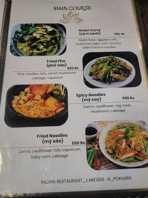 Fried noodle not like photo at Padma Vietnamese Restaurant in Pokhara